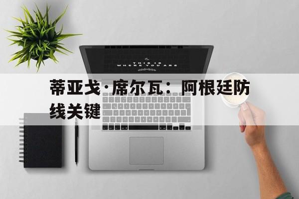 开云体育-蒂亚戈·席尔瓦：阿根廷防线关键的简单介绍