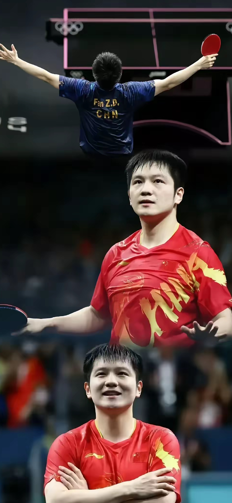 开云体育登录-法国乒乓球队轻取波兰乒乓球队，樊振东完成帽子戏法的简单介绍