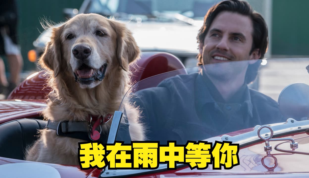 开云体育官方网站-赛车选手赛后落泪，背后故事感人