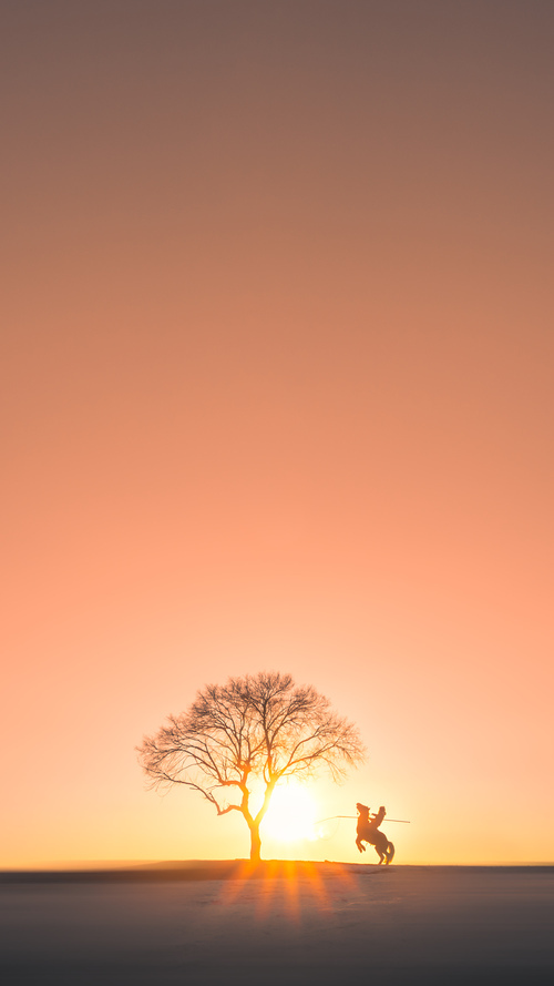 一剑封喉！硬骨头公牛啃下太阳，小贾伦化身关键先生破茧成蝶