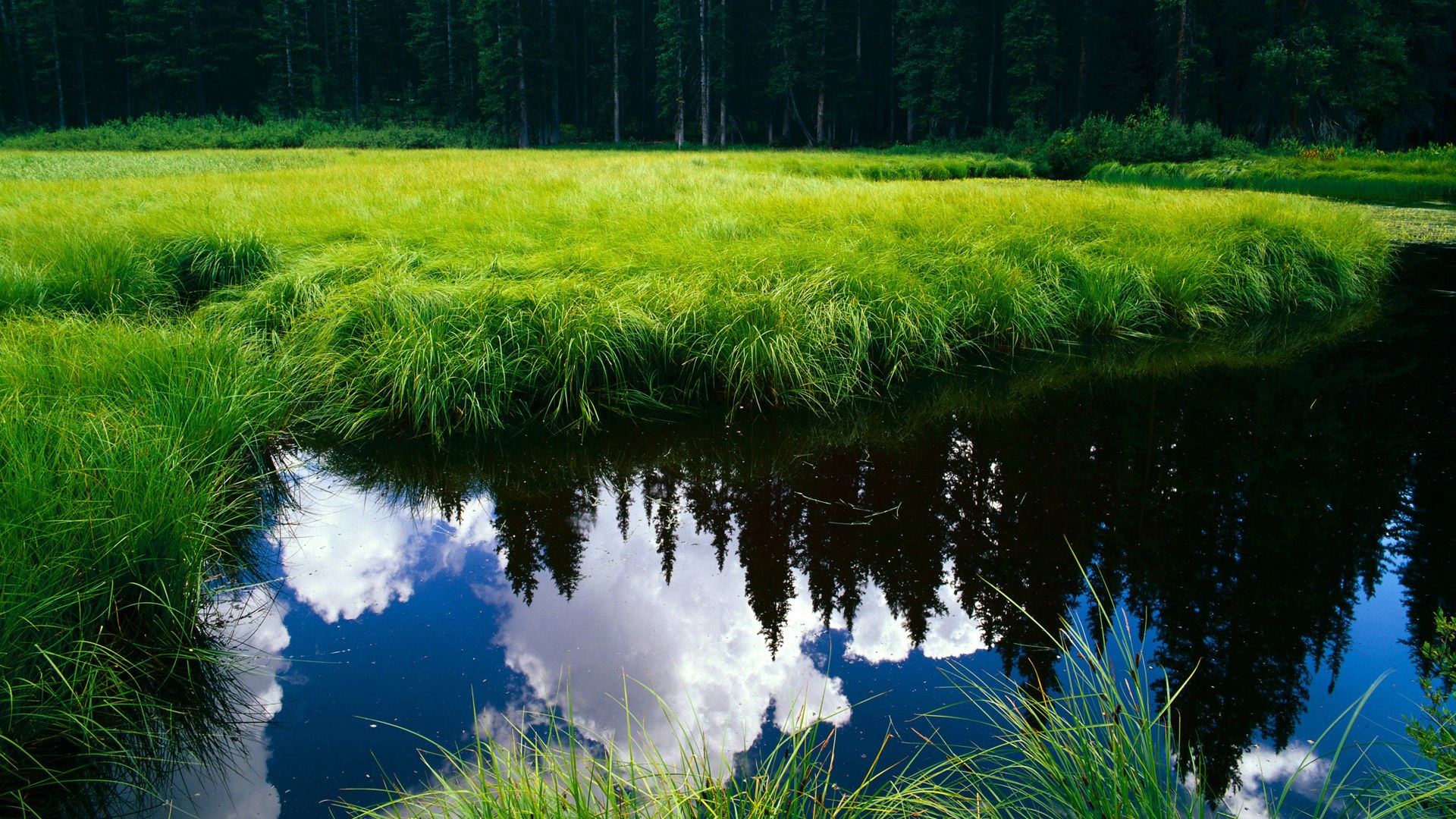 爵士vs热火，利拉德的节奏统治