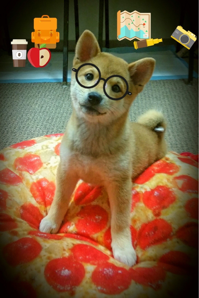 绝杀与接管，时空交错中的英雄主义宣言