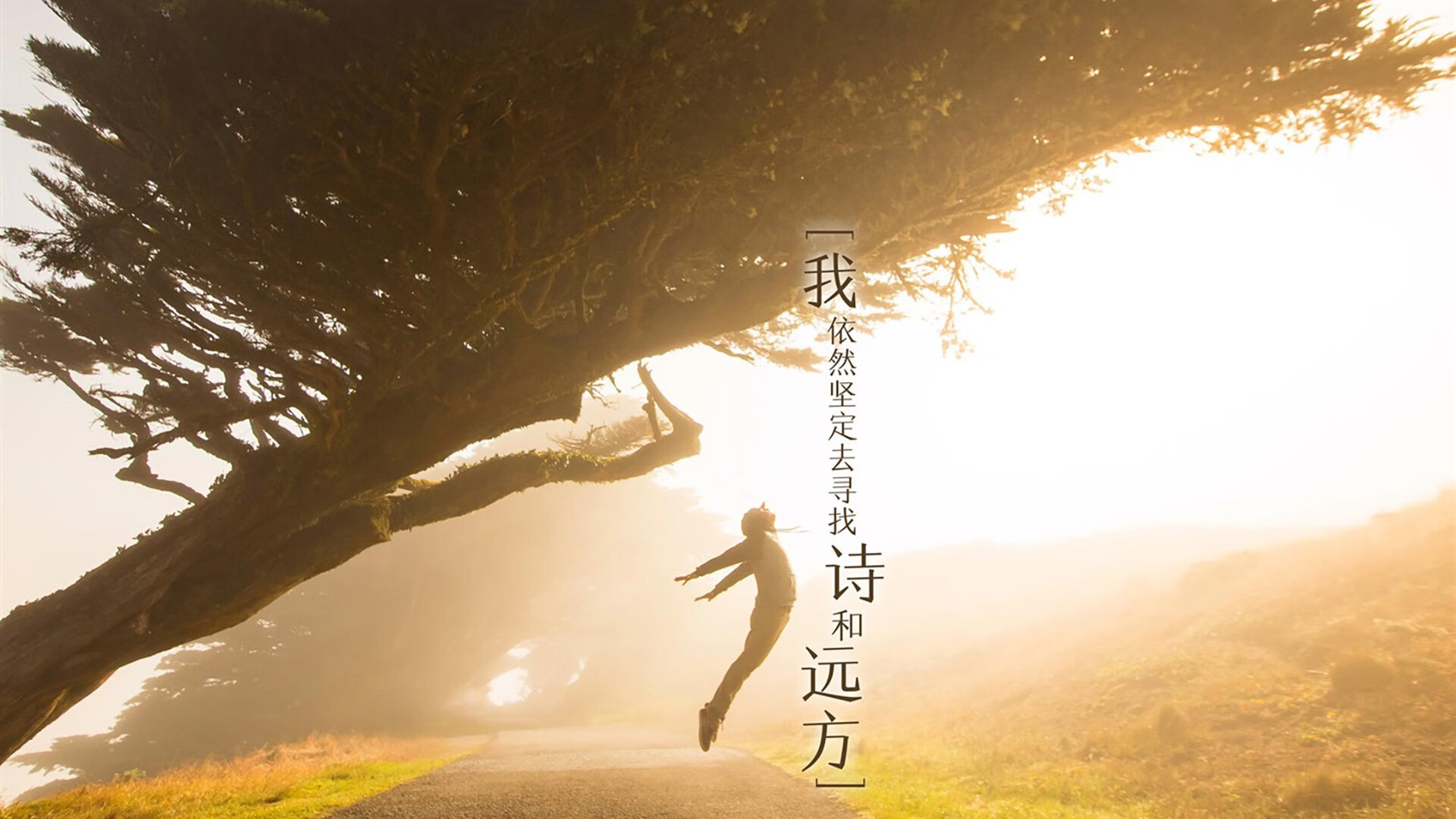 开云体育中国-班凯罗关键球终结火箭，魔术生死战展露冠军相