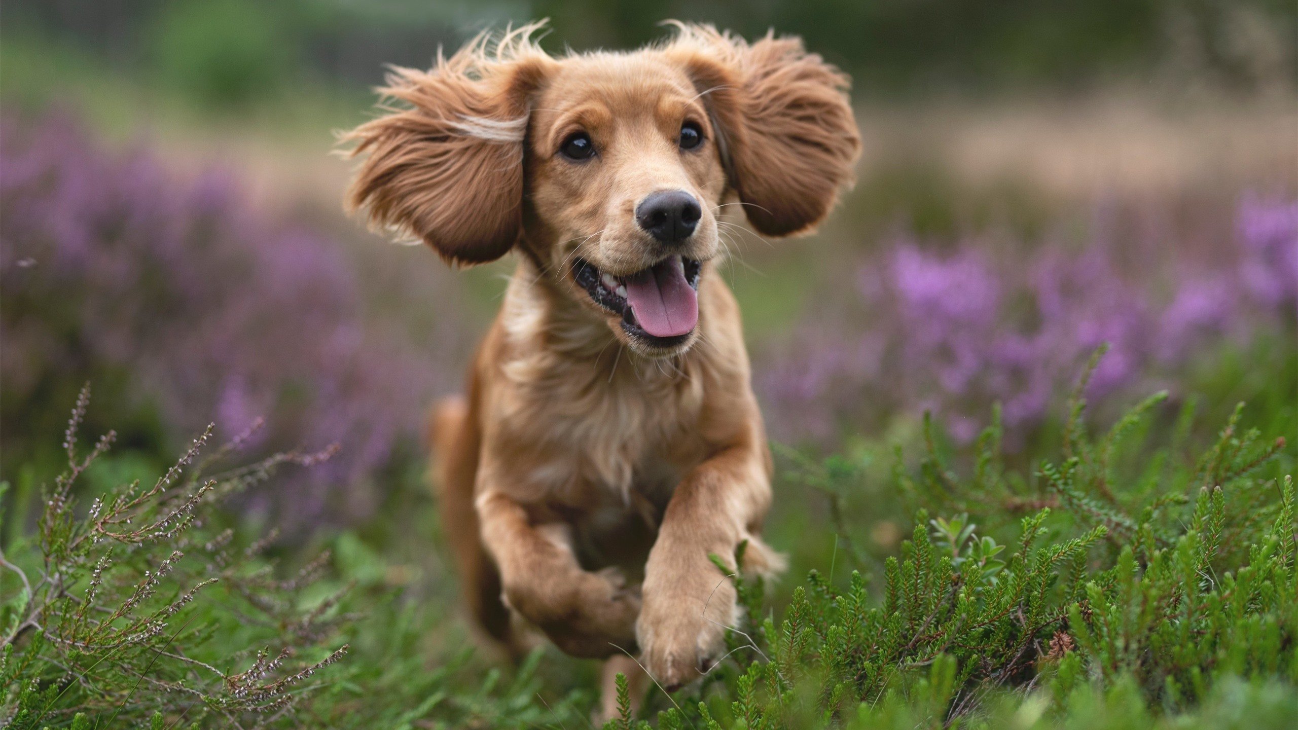 乌拉圭全面压制中国，凯恩成为关键先生，足球场上的统治与转折