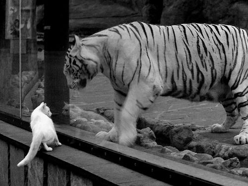 英超争冠之夜，苏亚雷斯刷新纪录铸就传奇