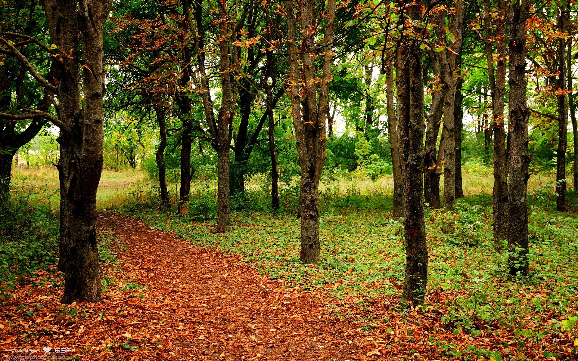 莎凡娜雨夜，2026世界杯，哥伦比亚在时光尽头击倒南非