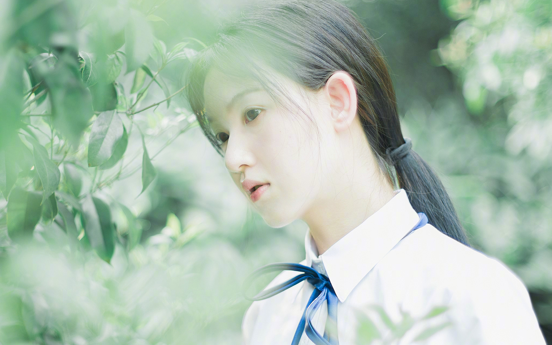 钢铁防线与孤胆英雄，武切维奇如何用防守主宰比赛