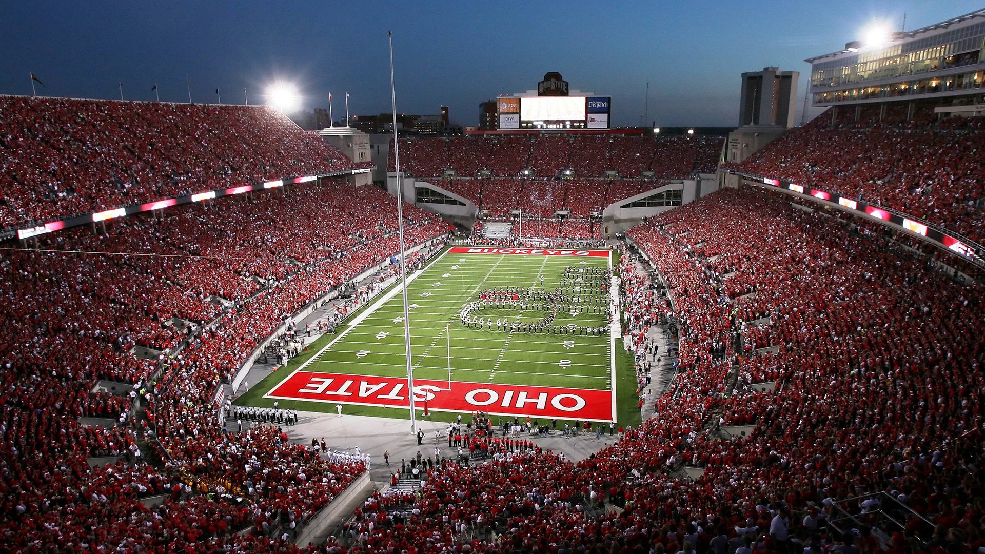 黄蜂蛰醒强者梦，字母哥光芒吞噬上海滩夜空