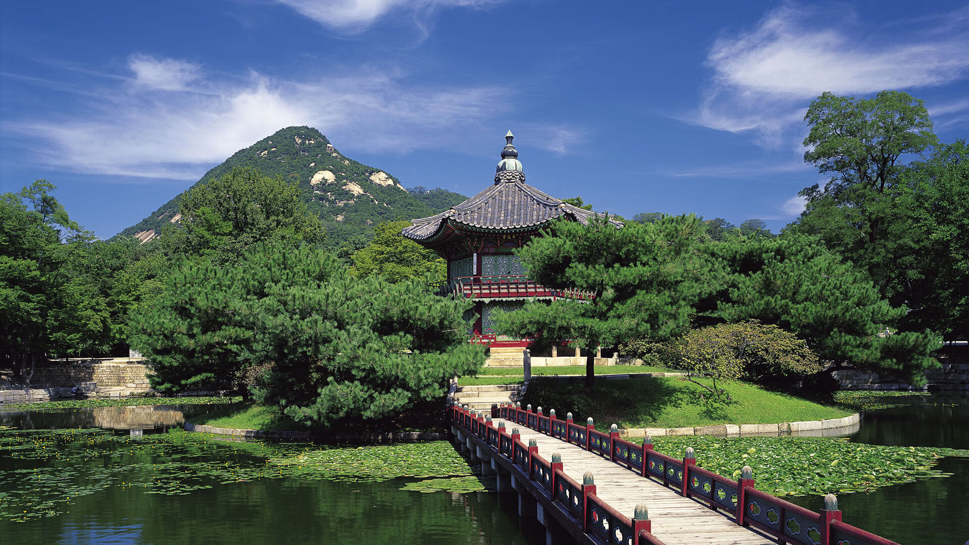 开云体育APP下载-活塞逆袭夜！福克斯狂飙33分，末节16分击碎深圳防线