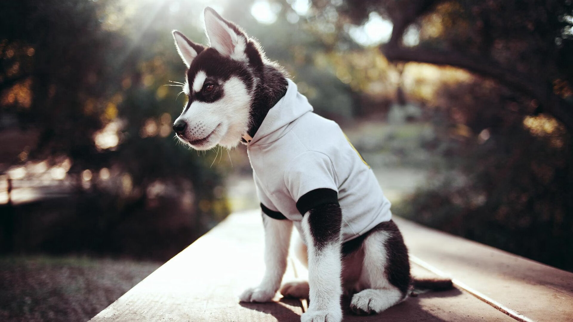 节奏为王，从掘金掌控马刺到哈登硬仗之王的篮球哲学