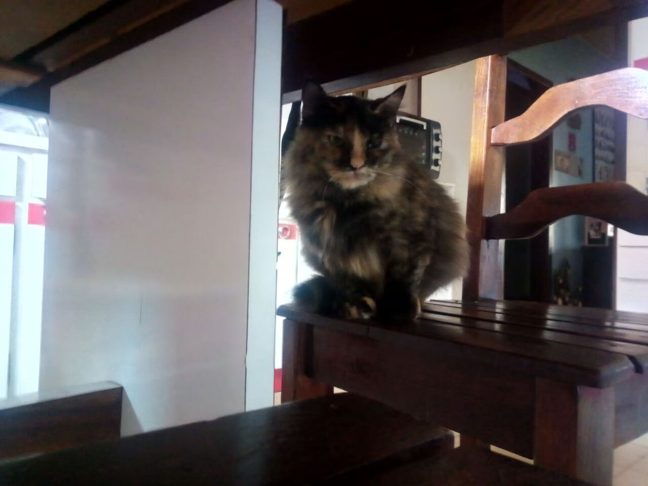 利拉德临危受命！一剑封喉终结国王，森林狼鏖战背后的关键先生