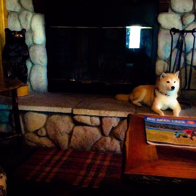 王者归来,萨拉赫末节雷霆一击,终结利物浦欧冠七年之痒