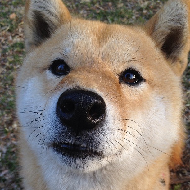 开云体育APP下载-绿茵场上的得分奇才，当意甲焦点战遭遇NBA式的逆转狂潮