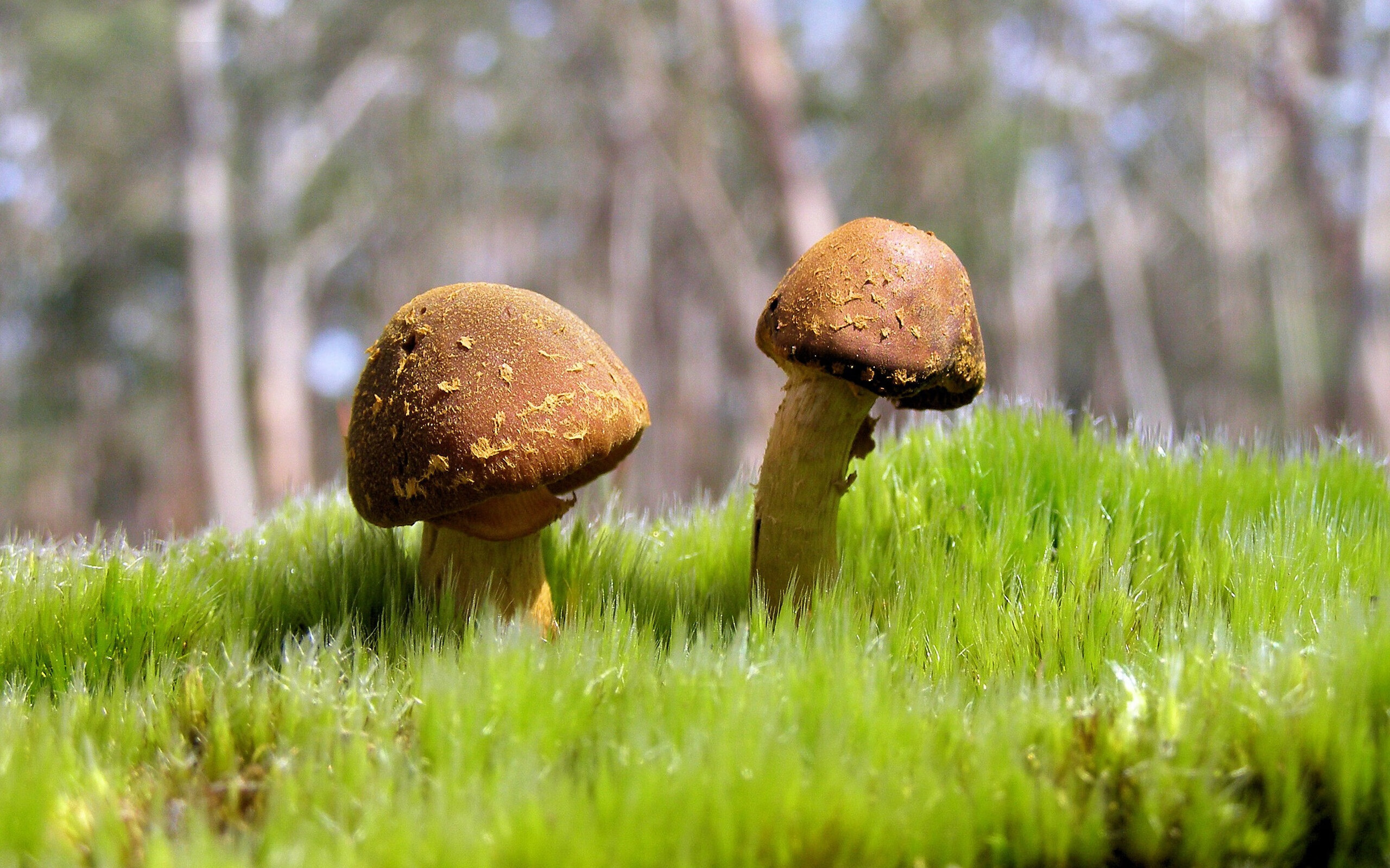 生死回合,当乔治在沉默中抬起枪口