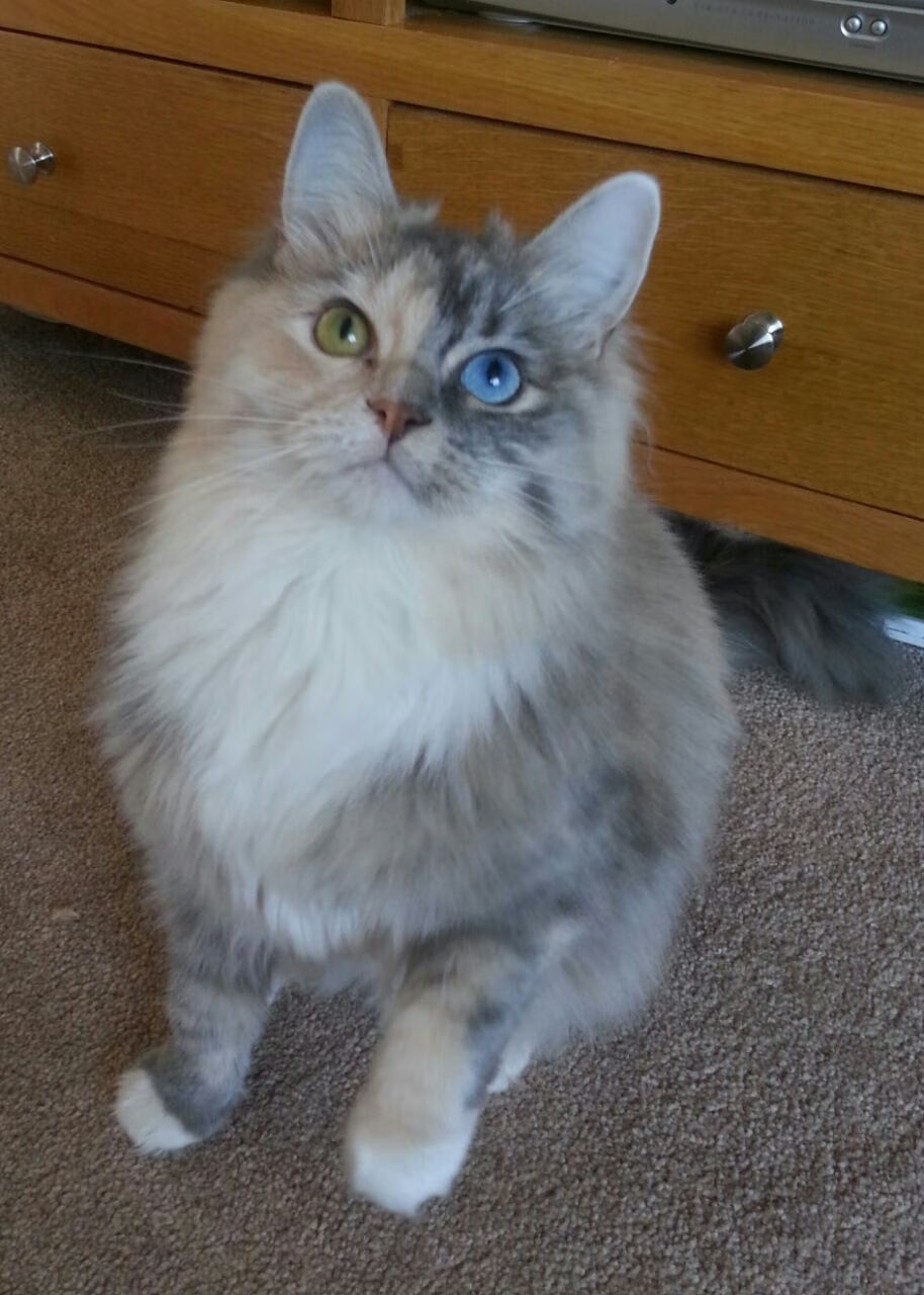 生死夜拉文劈裂苍穹