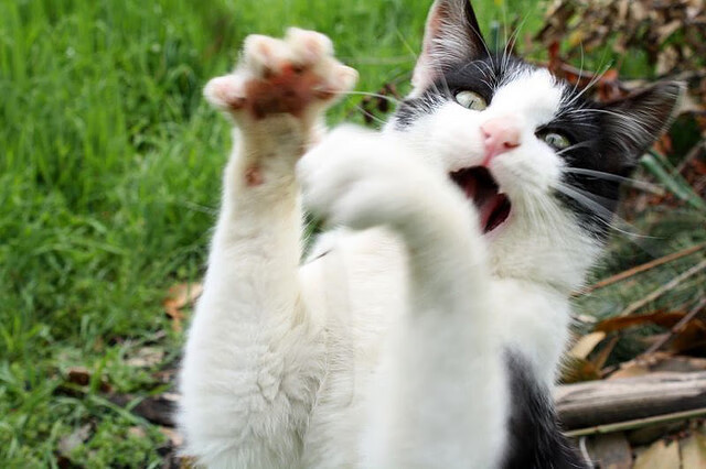 开云体育APP下载-宿命之战，骑士天降奇兵打崩卫冕冠军，抢七狂胜掘金杀入东决