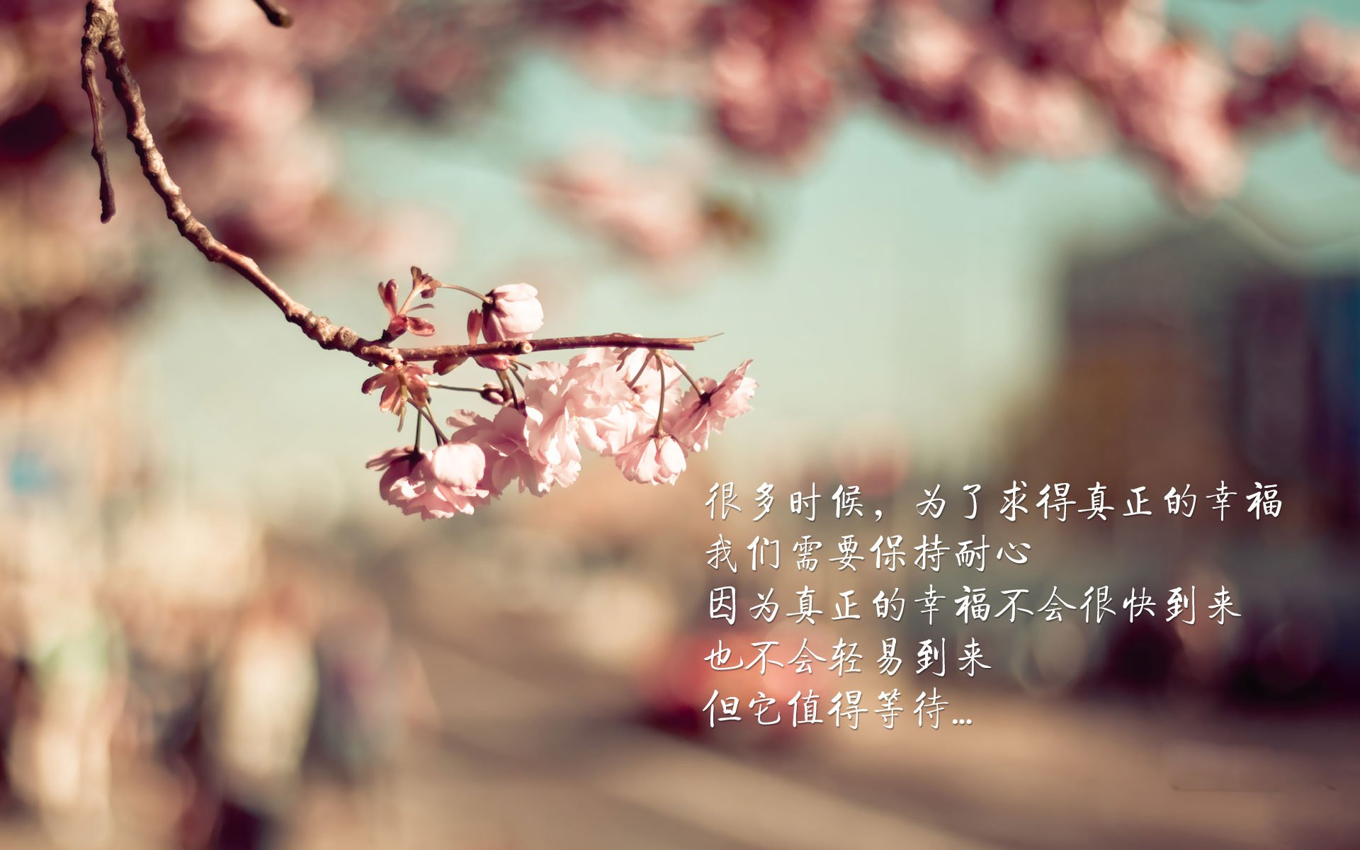 开云体育登录-吉林队战术手册，在美加墨世界杯焦点战中解析如何压制现代灰熊