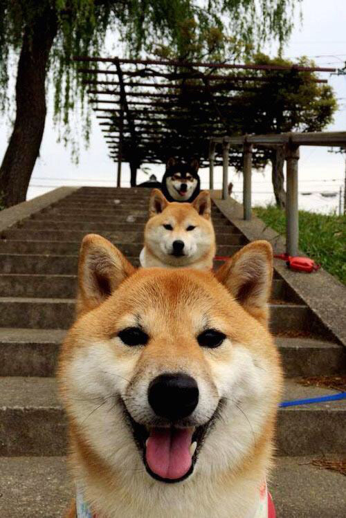 开云体育入口-华子弑神夜！奇才打穿尼克斯，爱德华兹让麦迪逊广场陷入死寂