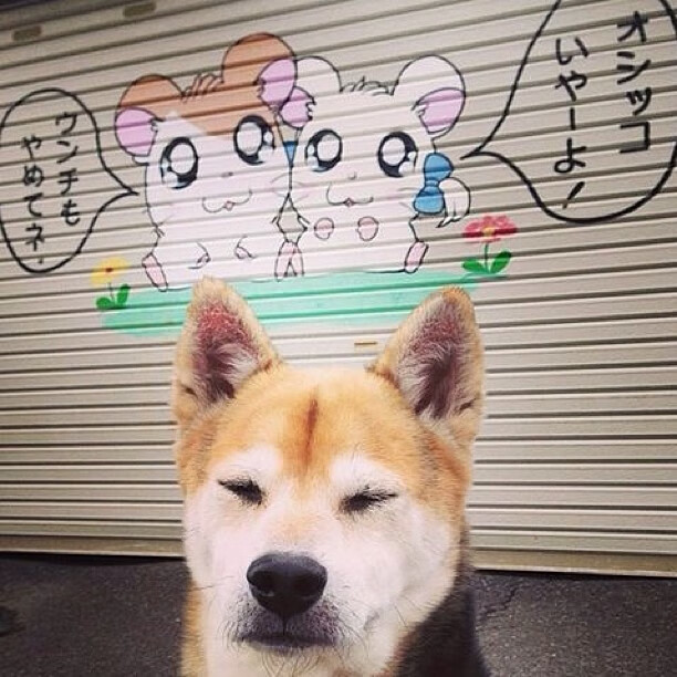 开云体育中国-伊朗铁血击溃洪都拉斯，孙兴慜进攻端诠释无敌锋芒—足球世界的双星闪耀