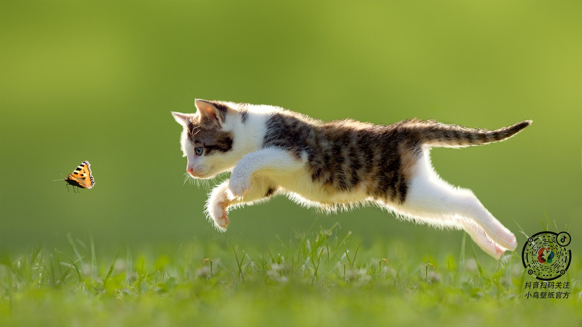 从0-2到3-2，楚阿梅尼中场变阵导演雷恩惊天逆转